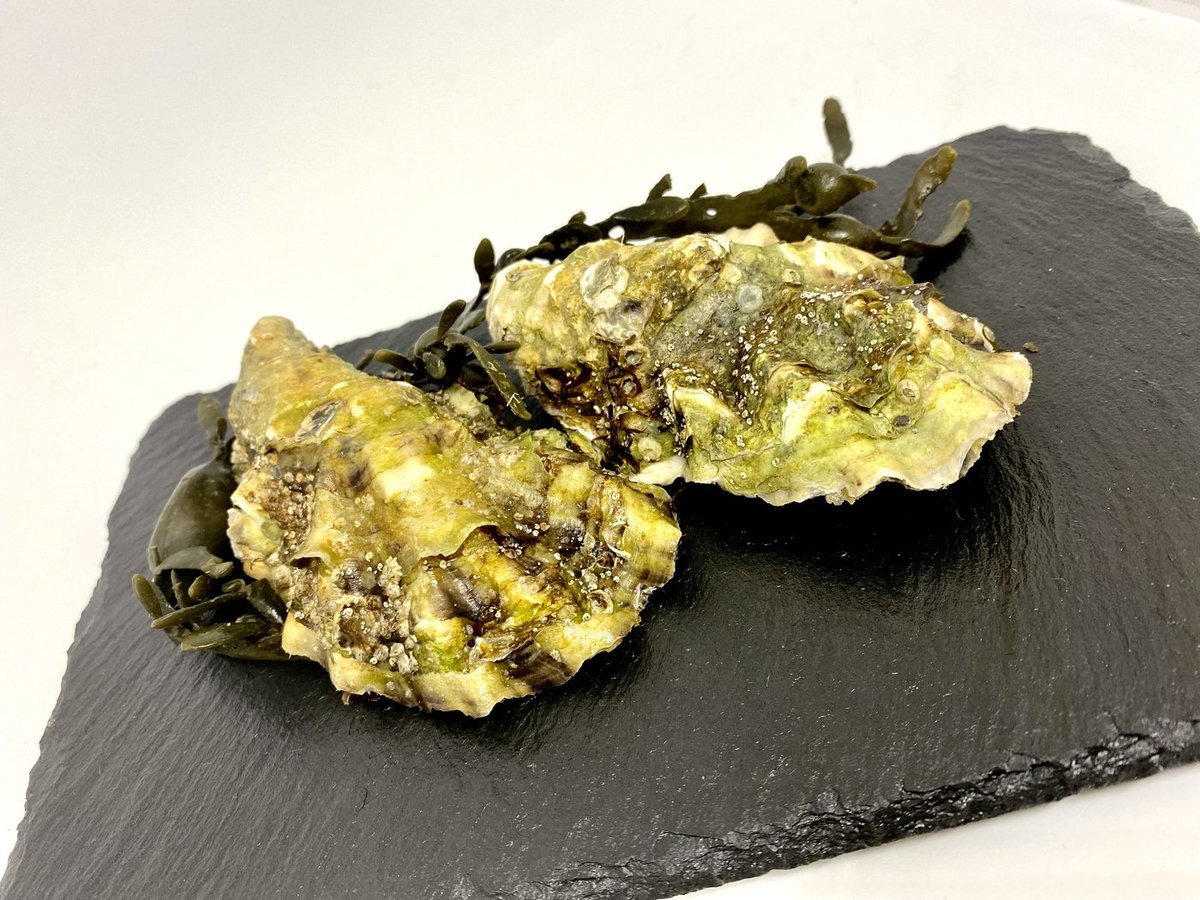 Oesters op een leisteen van De Urker Vishandel